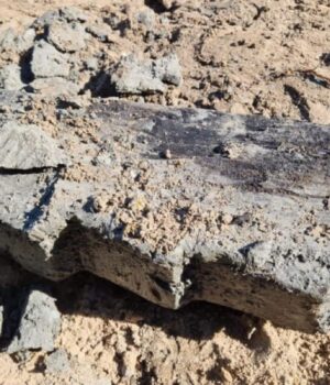 У-Нідерландах-знайшли-фрагмент-корабля-епохи-вікінгів-просто-посеред-каналізації У-Нідерландах-знайшли-фрагмент-корабля-епохи-вікінгів-просто-посеред-каналізації