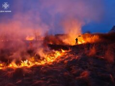 Горіли торф, трава, чагарники й очерет: на Волині приборкали 14 пожеж Горіли-торф,-трава,-чагарники-й-очерет:-на-Волині-приборкали-14-пожеж