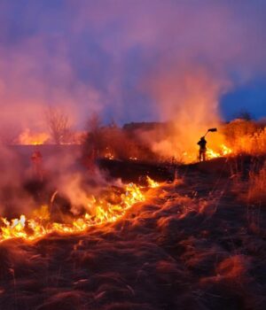 Горіли-торф,-трава,-чагарники-й-очерет:-на-Волині-приборкали-14-пожеж