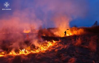 Горіли торф, трава, чагарники й очерет: на Волині приборкали 14 пожеж Горіли-торф,-трава,-чагарники-й-очерет:-на-Волині-приборкали-14-пожеж
