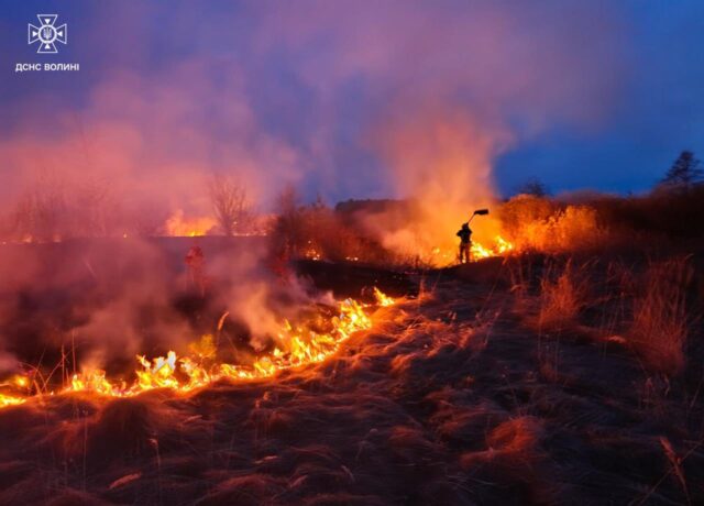 Горіли торф, трава, чагарники й очерет: на Волині приборкали 14 пожеж Горіли-торф,-трава,-чагарники-й-очерет:-на-Волині-приборкали-14-пожеж