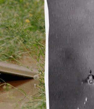 Щодня-“Шахеди”-скидають-міни-в-Україні-–-по-8-штук-з-одного:-Флеш-показав-відео