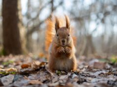 30 березня в Україну зайде похолодання: які області зачепить 30-березня-в-Україну-зайде-похолодання:-які-області-зачепить