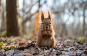 30 березня в Україну зайде похолодання: які області зачепить 30-березня-в-Україну-зайде-похолодання:-які-області-зачепить