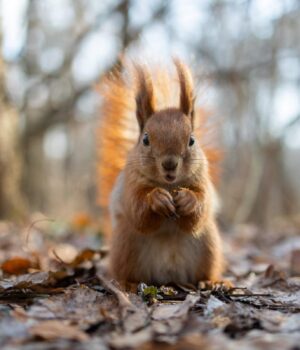 30-березня-в-Україну-зайде-похолодання:-які-області-зачепить 30-березня-в-Україну-зайде-похолодання:-які-області-зачепить