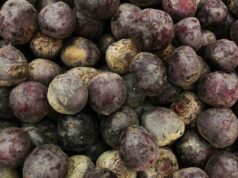 Скільки насправді варити буряк: секрет, який скорочує час до 20 хвилин Скільки-насправді-варити-буряк:-секрет,-який-скорочує-час-до 20 хвилин