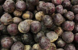 Скільки насправді варити буряк: секрет, який скорочує час до 20 хвилин Скільки-насправді-варити-буряк:-секрет,-який-скорочує-час-до 20 хвилин