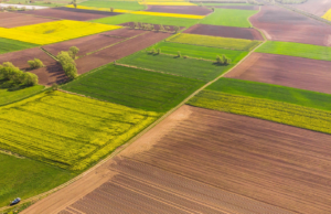 Мінімальне податкове зобов’язання: що потрібно знати власникам земельних паїв Мінімальне-податкове-зобов’язання:-власникам-землі-варто-врахувати-вимоги-закону