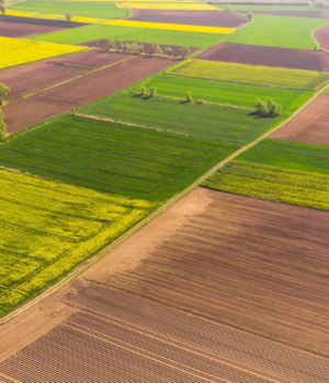 Мінімальне-податкове-зобов’язання:-власникам-землі-варто-врахувати-вимоги-закону Мінімальне-податкове-зобов’язання:-власникам-землі-варто-врахувати-вимоги-закону