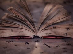 Нумерологія 2026: помилки в коханні та кар’єрі, яких можна уникнути за датою народження Нумерологія-2026:-помилки-в-коханні-та-кар’єрі,-яких-можна-уникнути-за-датою-народження