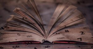 Нумерологія 2026: помилки в коханні та кар’єрі, яких можна уникнути за датою народження Нумерологія-2026:-помилки-в-коханні-та-кар’єрі,-яких-можна-уникнути-за-датою-народження