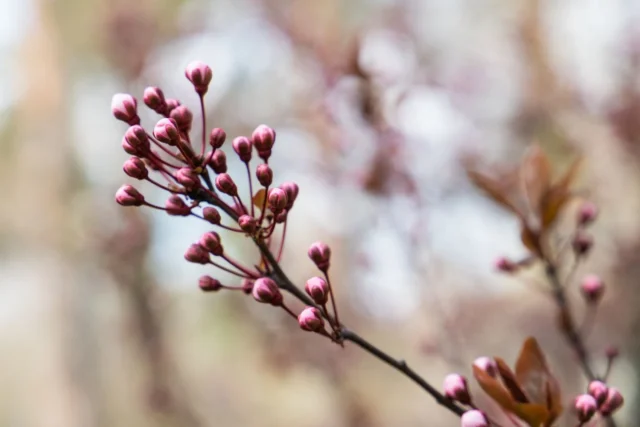 Циклон приніс дощі в Україну: прогноз погоди на сьогодні Циклон-під-кінець-березня-приніс-в-Україну-дощі-–-прогноз-погоди-на-сьогодні