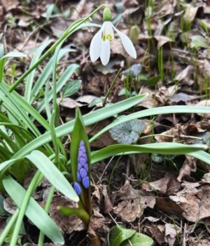 Українців-очікує-потепління-до-17-градусів-та-періодичні-дощі-на-початку-квітня-–-синоптик