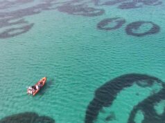 На морському дні біля берегів Шотландії є дивні кільця: вчені не знають, як вони з’явилися На-морському-дні-біля-берегів-Шотландії-є-дивні-кільця:-вчені-не-знають,-як-вони-з’явилися