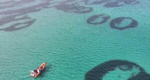 На морському дні біля берегів Шотландії є дивні кільця: вчені не знають, як вони з’явилися На-морському-дні-біля-берегів-Шотландії-є-дивні-кільця:-вчені-не-знають,-як-вони-з’явилися