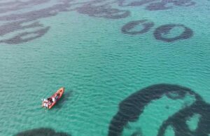 На морському дні біля берегів Шотландії є дивні кільця: вчені не знають, як вони з’явилися На-морському-дні-біля-берегів-Шотландії-є-дивні-кільця:-вчені-не-знають,-як-вони-з’явилися