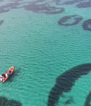 На-морському-дні-біля-берегів-Шотландії-є-дивні-кільця:-вчені-не-знають,-як-вони-з’явилися На-морському-дні-біля-берегів-Шотландії-є-дивні-кільця:-вчені-не-знають,-як-вони-з’явилися