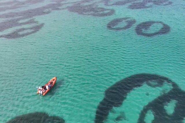 На морському дні біля берегів Шотландії є дивні кільця: вчені не знають, як вони з’явилися На-морському-дні-біля-берегів-Шотландії-є-дивні-кільця:-вчені-не-знають,-як-вони-з’явилися