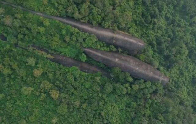 З густого лісу в Таїланді виринають три величезні “кити”: як таке можливо З-густого-лісу-в-Таїланді-виринають-три-величезні-“кити”:-як-таке-можливо