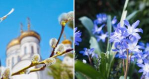 1 квітня: церковне свято сьогодні, заборони дня та як пожартувати, аби рік був вдалим 1-квітня:-церковне-свято-сьогодні,-заборони-дня-та-як-пожартувати,-аби-рік-був-вдалим