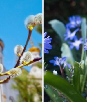 1-квітня:-церковне-свято-сьогодні,-заборони-дня-та-як-пожартувати,-аби-рік-був-вдалим 1-квітня:-церковне-свято-сьогодні,-заборони-дня-та-як-пожартувати,-аби-рік-був-вдалим