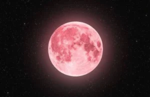 Рожева повня: астрономічне явище 24 квітня Повний-Місяць-у-квітні-–-що-означає-рожева-повня-і-чому-її-так-називають