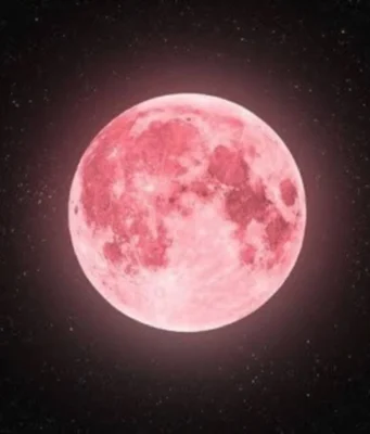 Рожева повня: астрономічне явище 24 квітня Повний-Місяць-у-квітні-–-що-означає-рожева-повня-і-чому-її-так-називають