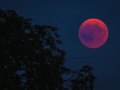 Ці знаки Зодіаку впіймають удачу за хвіст: кому “Рожевий місяць” несе щастя Ці-знаки-Зодіаку-впіймають-удачу-за-хвіст:-кому-“Рожевий-місяць”-несе-щастя