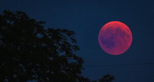 Ці знаки Зодіаку впіймають удачу за хвіст: кому “Рожевий місяць” несе щастя Ці-знаки-Зодіаку-впіймають-удачу-за-хвіст:-кому-“Рожевий-місяць”-несе-щастя