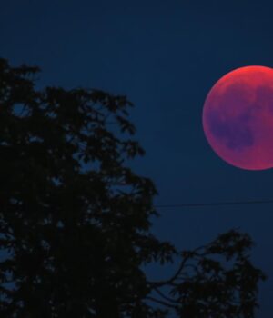 Ці-знаки-Зодіаку-впіймають-удачу-за-хвіст:-кому-“Рожевий-місяць”-несе-щастя