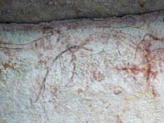 Наскельні малюнки корінних жителів Австралії розкрили правду про тасманійських тигрів Наскельні-малюнки-корінних-жителів-Австралії-розкрили-правду-про-тасманійських-тигрів