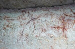 Наскельні малюнки корінних жителів Австралії розкрили правду про тасманійських тигрів Наскельні-малюнки-корінних-жителів-Австралії-розкрили-правду-про-тасманійських-тигрів