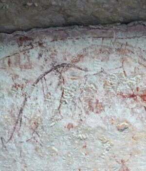 Наскельні-малюнки-корінних-жителів-Австралії-розкрили-правду-про-тасманійських-тигрів