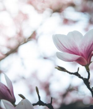 2-квітня-погода-в-Україні-покращиться 2-квітня-погода-в-Україні-покращиться