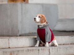 До України йде нове похолодання: синоптикиня назвала дати До-України-йде-нове-похолодання:-синоптикиня-назвала-дати