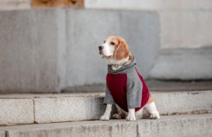 До України йде нове похолодання: синоптикиня назвала дати До-України-йде-нове-похолодання:-синоптикиня-назвала-дати