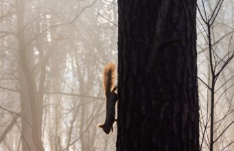 На Харківщині запровадили І рівень небезпеки На-Харківщині-запровадили-І-рівень-небезпеки