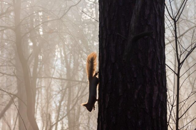 На Харківщині запровадили І рівень небезпеки На-Харківщині-запровадили-І-рівень-небезпеки