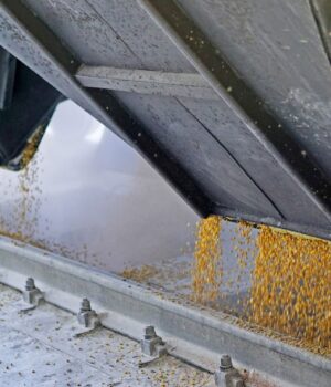 Тисячі тон зерна “сплили” в Ірані й Єгипті: НАБУ викрило масштабну корупційну схему