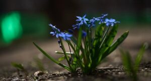 Похолодання і дощі накриють Україну: де зіпсується погода 3 квітня Похолодання-і дощі-накриють-Україну:-де зіпсується-погода-3 квітня