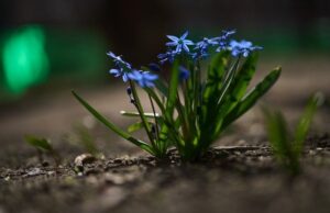 Похолодання і дощі накриють Україну: де зіпсується погода 3 квітня Похолодання-і дощі-накриють-Україну:-де зіпсується-погода-3 квітня