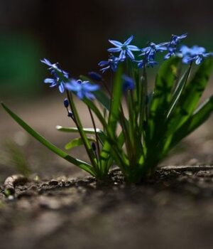 Похолодання-і дощі-накриють-Україну:-де зіпсується-погода-3 квітня