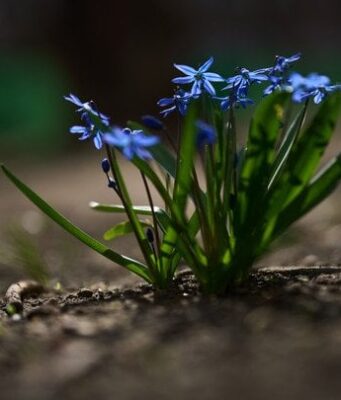 Похолодання і дощі накриють Україну: де зіпсується погода 3 квітня Похолодання-і дощі-накриють-Україну:-де зіпсується-погода-3 квітня