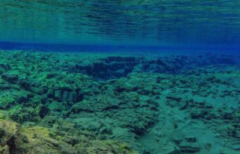 Золоті яйця на дні океану спантеличили вчених: що це таке Золоті-яйця-на-дні-океану-спантеличили-вчених:-що-це-таке