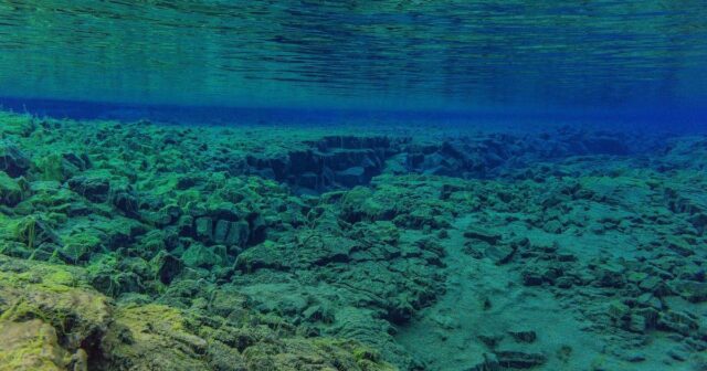 Золоті яйця на дні океану спантеличили вчених: що це таке Золоті-яйця-на-дні-океану-спантеличили-вчених:-що-це-таке