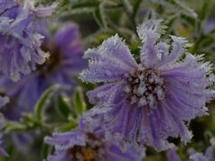 До України мчить сильне похолодання: температура впаде до “мінусів” До-України-мчить-сильне-похолодання:-температура-впаде-до-“мінусів”