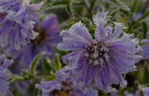 До України мчить сильне похолодання: температура впаде до “мінусів” До-України-мчить-сильне-похолодання:-температура-впаде-до-“мінусів”