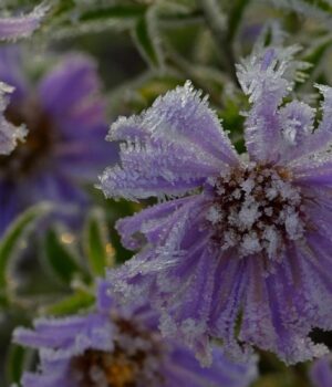 До-України-мчить-сильне-похолодання:-температура-впаде-до-“мінусів”