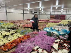 Квітковий бізнес в Одесі приховав понад 10 млн грн податків Квітковий бізнес в Одесі приховав понад 10 млн грн податків