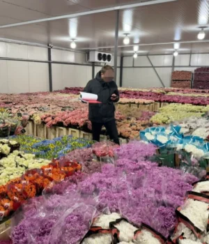 Квітковий бізнес в Одесі приховав понад 10 млн грн податків